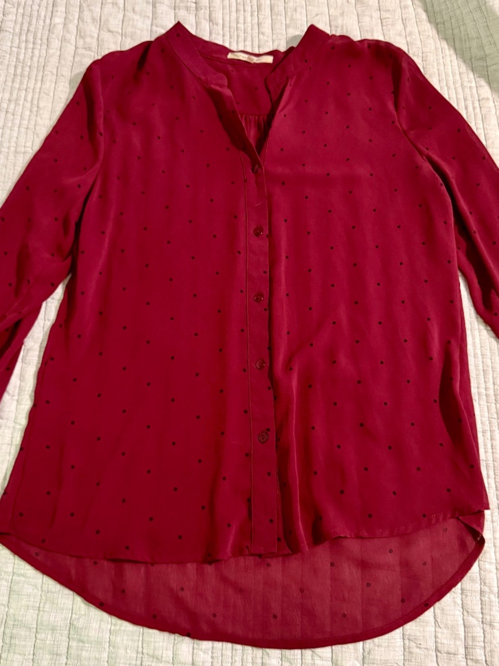 Burgundy, sheer button-down Blouse